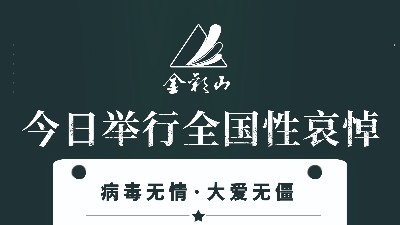 深切哀悼-抗击新冠肺炎疫情斗争牺牲烈士和逝世同胞