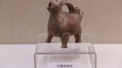 鲁酒瑰宝——馆藏文物展（二 ）