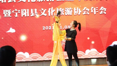 金彩山助力 宁阳县文化旅游企业年度成果展